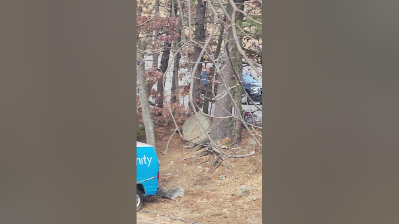 1140pm Bob furniture lot Salem nh star 🌟 buddy Salem nh by building 7