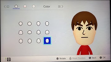 Switch Sports / Switch Sports Resort Fan CPU Mii Barret