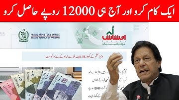 Ehsaas Emergency Cash Program janch partal Message Problem solution 2021