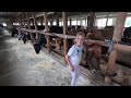 Meet my farm hands shorts cow.s cowgirls