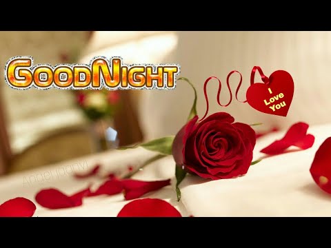 good-night-shayari-hindi/funny/sms/wishes/greetings/whatsapp-status-video|