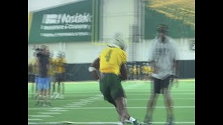Winning tradition prompts transfer players to choose North Dakota State for football