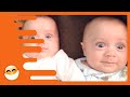 Cutest Babies of the Day! [20 Minutes] PT 2 | Funny Awesome Video | Nette Baby Momente