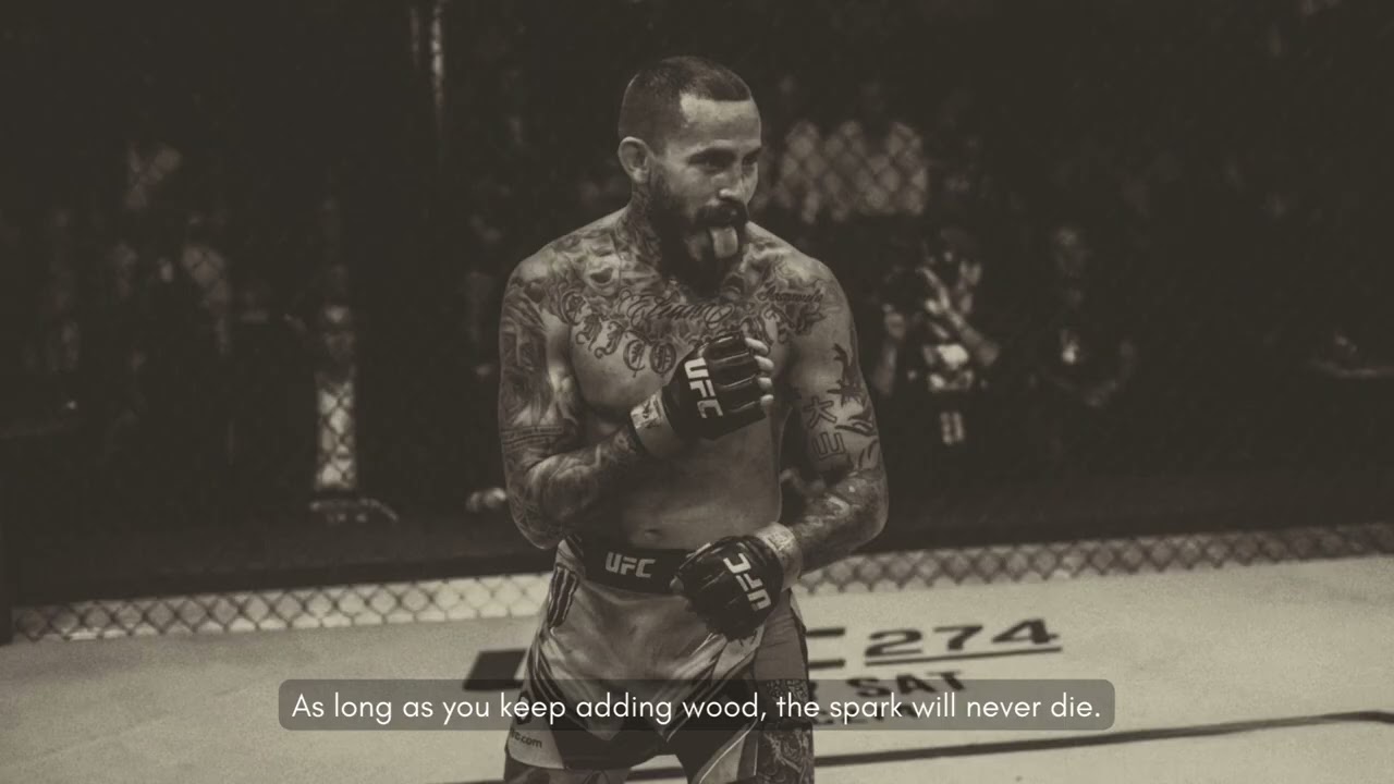 [Playlist]장작을 놓지 않는 한, 불씨는 꺼지지 않는다.