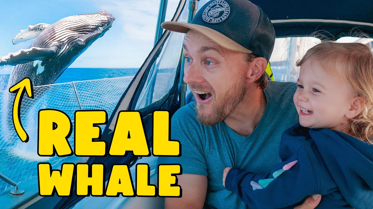 Close Encounter with a HUGE Whale: Our Best Sail Yet! | DAILY VLOG (23/30)