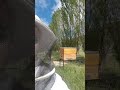 New feeder on test hive for wax production.