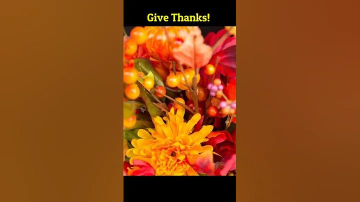 Thanksgiving Greetings To You - Happy Thanksgiving 2021 - Thanksgiving status - YouTube Shorts