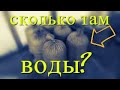 Сколько весит готовый Субстрат для Выращивания Грибов Вешенка