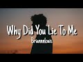 Briannnlouis - Why Did You Lie To Me (Lyrics)