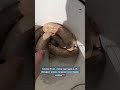 05 07 2025 Хан надеется и верит что выпадет шанс еще послужить своему хозяину 05 07 2025 Хан надеется и верит что выпадет шанс еще послужить своему хозяину
