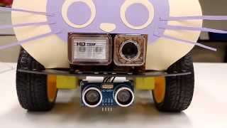 Polyu - Sd5946 - Microcontroller Project - Neko Car