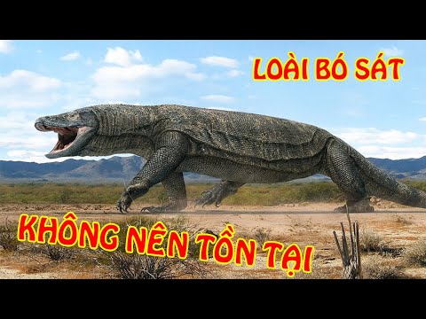 Video 7 Loài Bò Sát Không Nên Tồn Tại Trên Trái Đất Vì Quá... - youtube