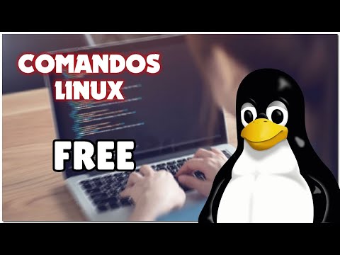 Comandos Linux! Hoy: free #shorts #linux