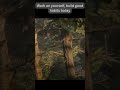 🌲 Riding Through the Wild | RDR2 Horse Adventure 🐎🔥