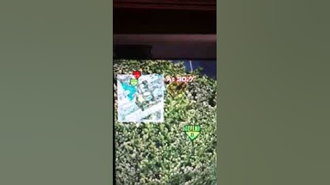 2v2 dispute drop host