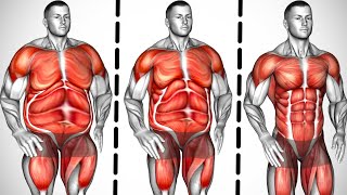 Transform Your Body: Proven Exercises for Total Fat Loss | Total Body Transformation | body exercise