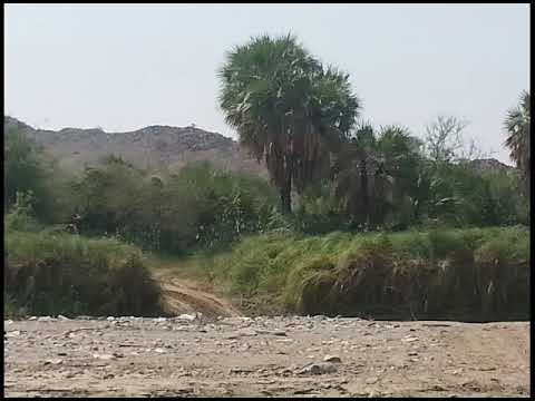 وحي من الروح لا وحي من القلم