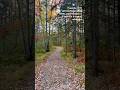 Life Is Richer With Godly Friends Jesus Shorts Hiking Friends Bible Nature Travel Adventure 