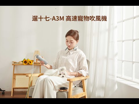 遛十七 高速寵物吹風機 (LSQ-A3M) 影片介紹