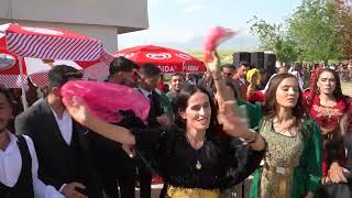 Kartal Saruhan Düğünü Part.5 | Tayan Aşireti | Müzik Xezal bayri | Kavalı Köyü Nerwane