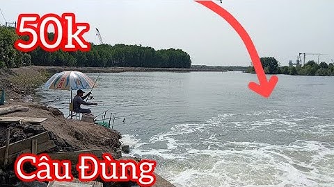 Trở lại Đùng 50k |Câu cá Bống Đục, Cá Móm | Mỹ Xuân BRVT