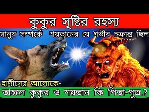 ভিডিও: কুকুর কবে তৈরি হয়েছিল?