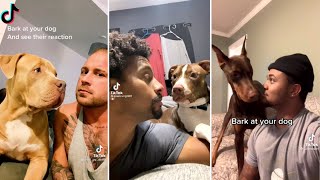 Bark At Your Dog Challenge