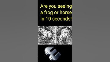 Is It Frog or Horse? You Have 10 Seconds to find. #Shorts #brightmind