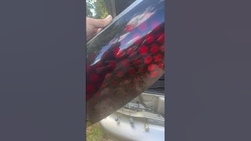 2002 Pontiac, Firebird WS6 tail light repair