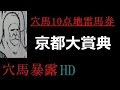 【緊急暴露】穴馬2頭ラストジャッジ。京都大賞典2014の競馬予想