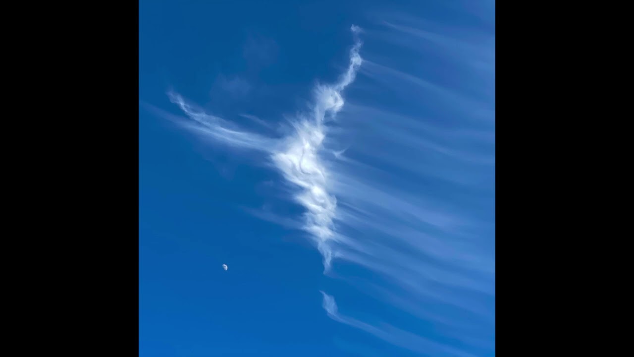 OnionBoy - Cowboy Heat