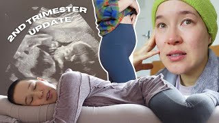 Second Trimester Update: processing difficult feelings, symptoms, travel, and more!