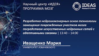 картинка: Разработка нейроинженерных основ технологии замещения поврежденных участков мозга посредством иск...