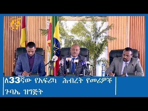 ለ33ኛው የአፍሪካ  ሕብረት የመሪዎች ጉባኤ ዝግጅት