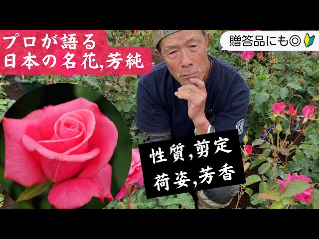世にもたぐいまれなる香り」、芳純を語る。 - YouTube