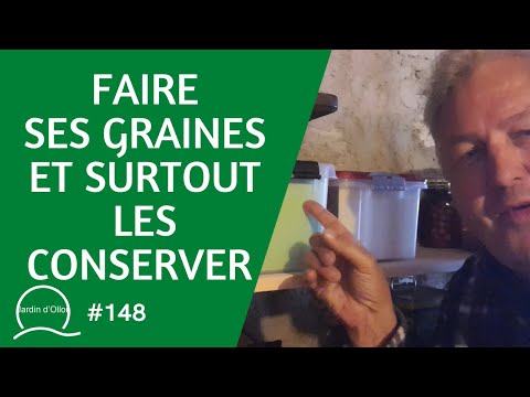 Vidéo: Conserver les graines de sésame : conseils pour sécher les graines de sésame du jardin