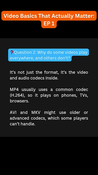 MP4, AVI, MKV — What Do They Actually Mean?