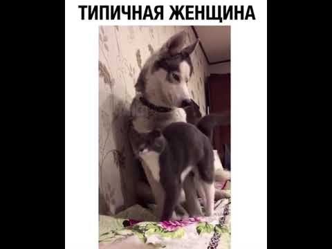 ТИПИЧНАЯ ЖЕНЩИНА!