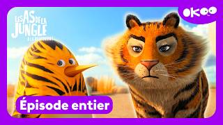 Les As De La Jungle À La Rescousse I Arrête Ou Ma Mère Va Griffer Saison 3 Épisode En Entier