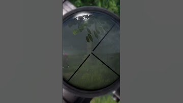 Dayz red vs blue conquest