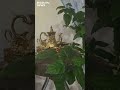 В Больших Зимовищах появилась еще одна агроусадьба