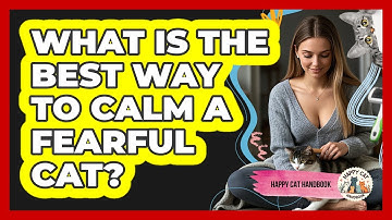 What Is The Best Way To Calm A Fearful Cat? - Happy Cat Handbook