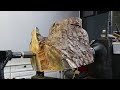 Woodturning - The Red Pine Rhino Log!