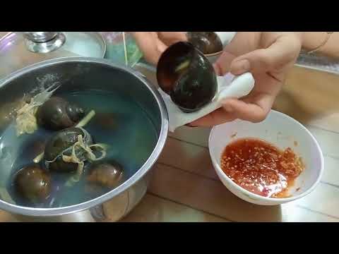 Видео: Thầy quang - ốc bươu đen siêu to chấm mắm gừng