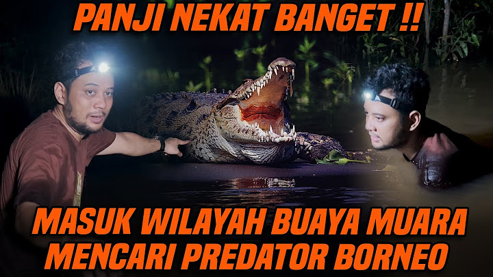 NEKAT MASUK SARANG BUAYA DI KALIMANTAN‼️PANJI TEMUKAN HEWAN INI