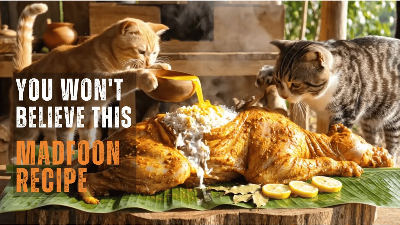 Mama Cat, Baba & Chiku Make Madfoon 🥘🐱 | Whiskr Dreams Full Cooking Adventure 🌞🍉