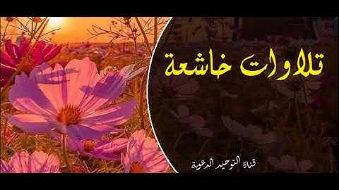 عشائية جميلة من سورة الأحقاف