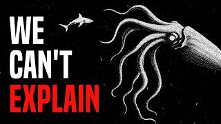 What Ate This Shark 580 Meters Below?