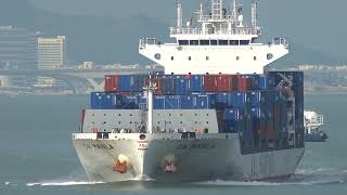 Container Ship《CA MANILA》Passing  the Tsing Ma Bridge in HK 20261002_C0001