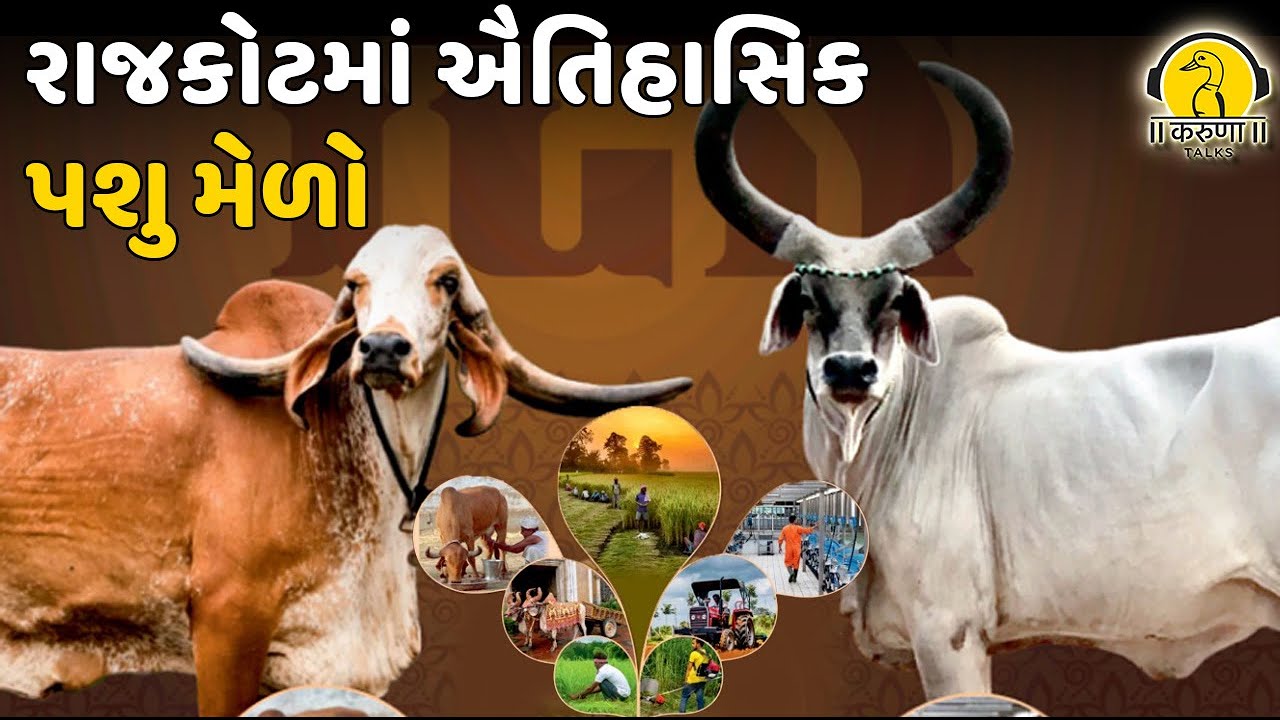 રાજકોટમાં ઐતિહાસિક પશુ મેળો l Karuna Talks
